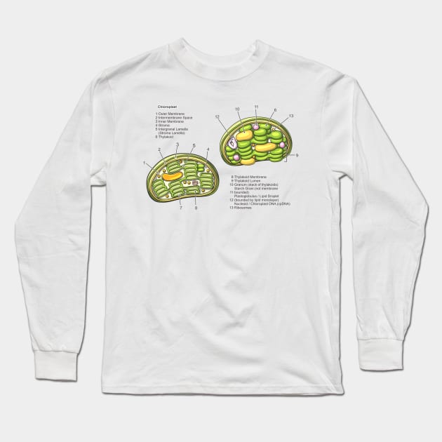 Chloroplast Structure Diagram Long Sleeve T-Shirt by taylorcustom